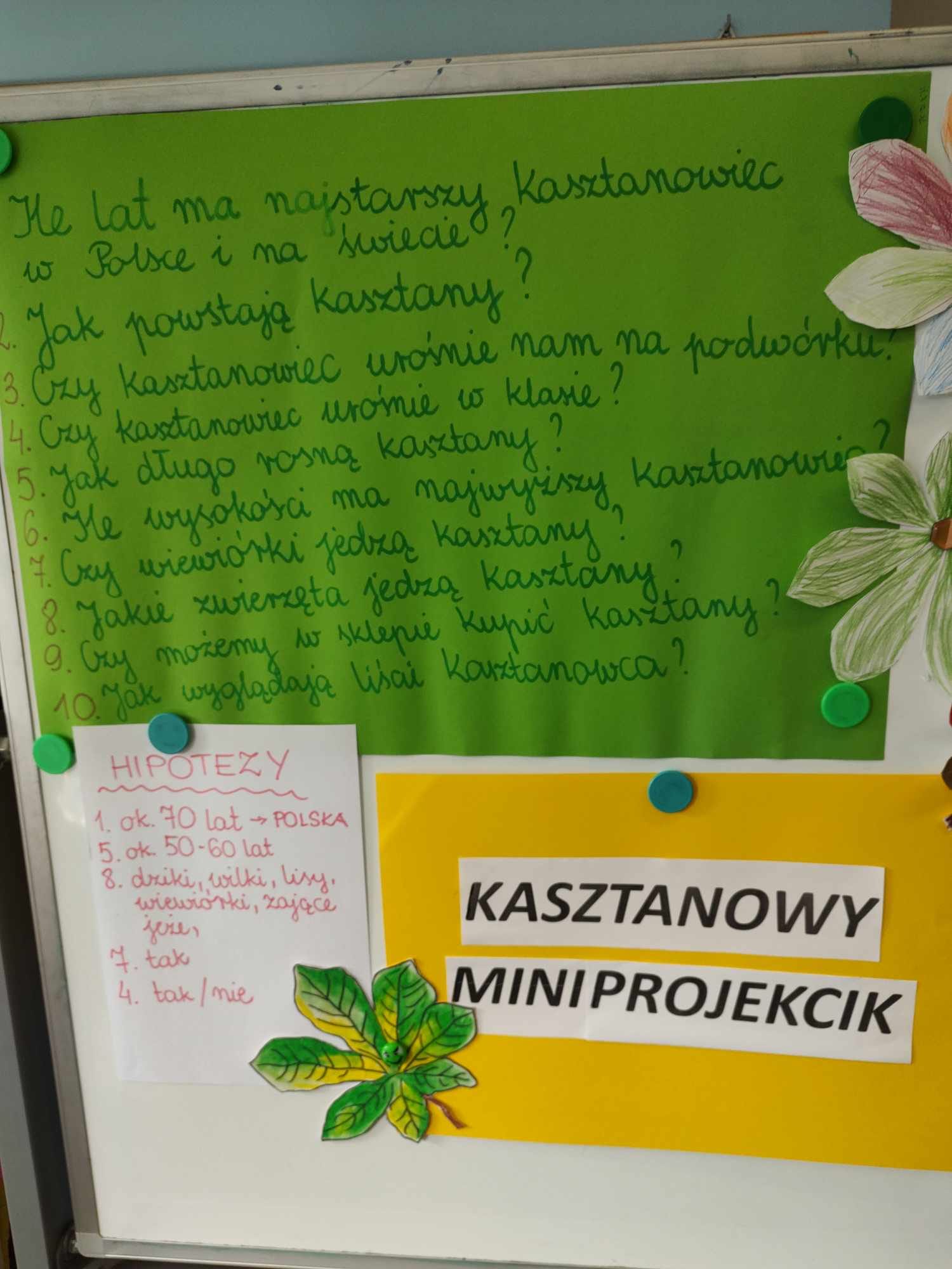 Kasztanowiec miniprojekt 1